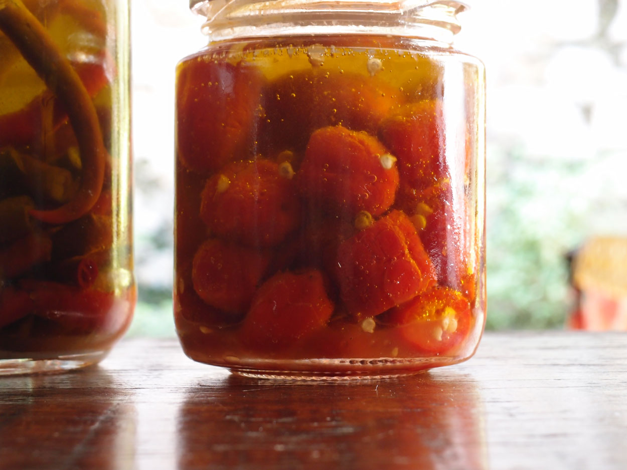 2016-01-26 Pimentas 1 + 2 (Foto)